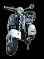 King scoter
